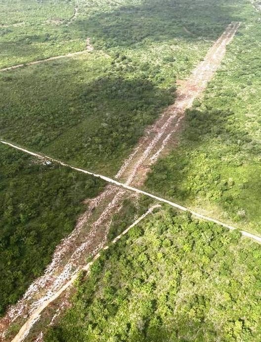 Asamblea Nacional Ambiental denuncia inician construcción aeropuerto Bávaro sin permisos