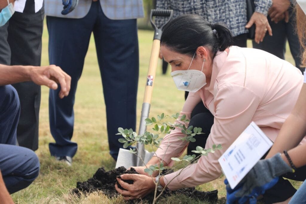Abinader siembra arbol 08 Abinader encabeza siembra en el Palacio Nacional por el Mes de la Reforestación