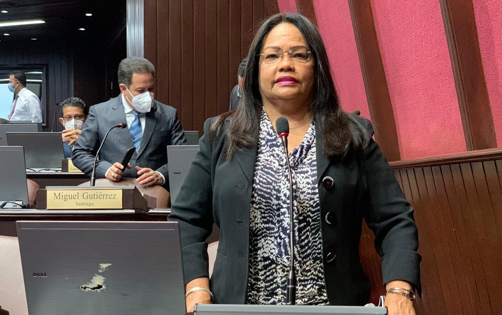 Servia Iris Familia sugiere a Luis Abinader usar su sueldo para “Casa del Dominicano en el Exterior”