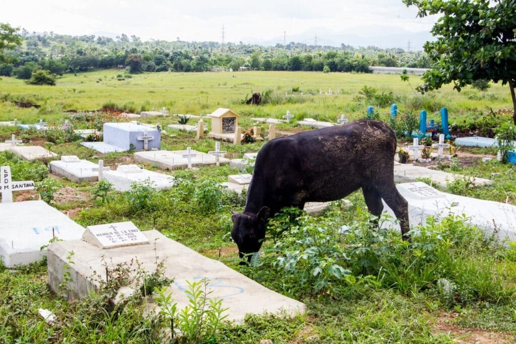 Abinader invertirá cada centavo en las prioridades del país; dará 100 mm para terminar el Calventi 12 Alcarrizos 05 Abinader invertirá cada centavo en las prioridades del país; dará 100 mm para terminar el Calventi