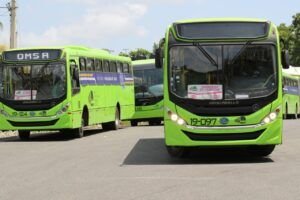 Unidades de la OMSA trabajarán  domingo hasta el mediodía por Día Nacional del Chofer