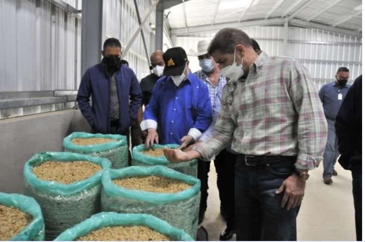 Ministerio de Agricultura invierte en la recuperación del sector cafetalero