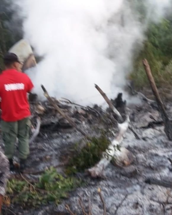 Avioneta Pedernales 03 Video | Muere una persona al estrellarse narco-avioneta en Pedernales