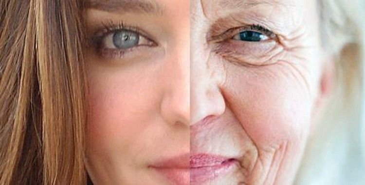 Identifican un gen responsable del envejecimiento celular