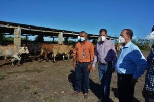 Los primeros 100 días FEDA invirtió 35 millones en programa “Regreso al Campo”