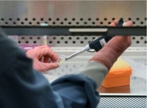 Los casos nuevos de infección por el VIH aumentaron más del 20% en AL