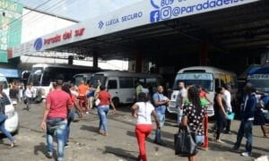 Flujo de pasajeros hacia el interior fue decepción para transportistas