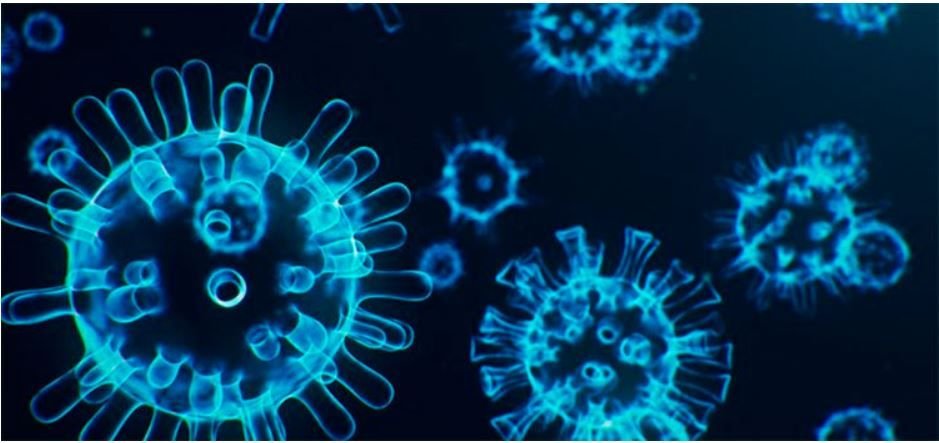 Científicos de EEUU identifican dos nuevas variantes del coronavirus