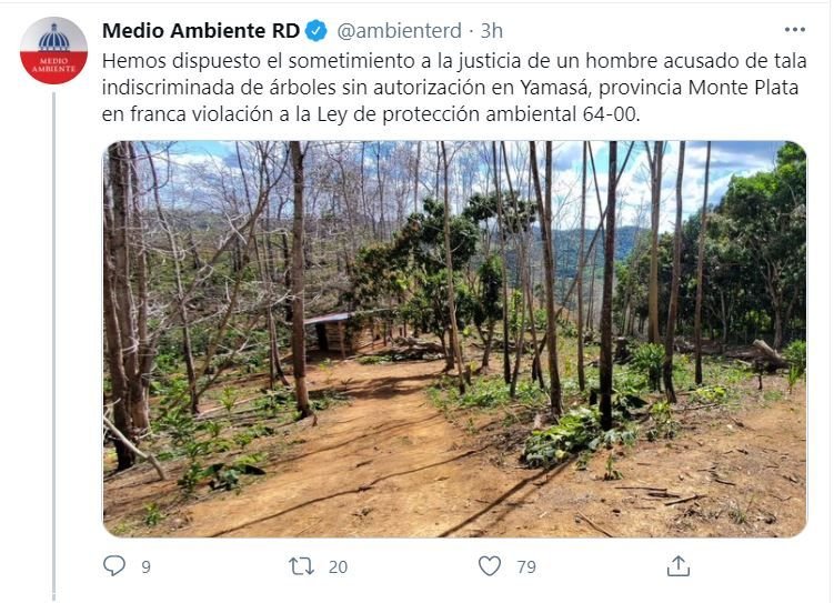 Someten a la justicia hombre que cortó más de 1,700 árboles en Yamasá 3 TWITTER MEDIOAMBIENTE Someten a la justicia hombre que cortó más de 1,700 árboles en Yamasá