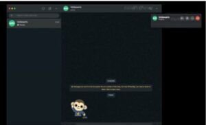 Llegaron las videollamadas y llamadas de voz de WhatsApp para PC