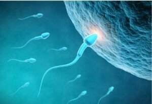 Identifican un caso de mellizos de dos padres distintos