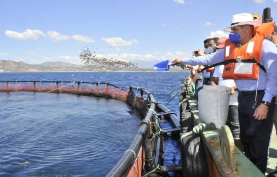 Agricultura fomentará la producción y exportación de tilapias