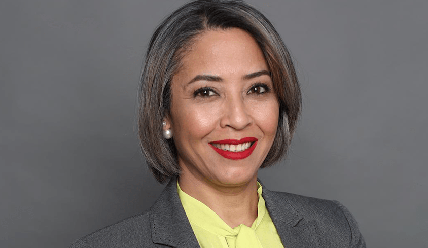 Elida Almonte atribuye a DGA apertura de cajas enviadas por la diáspora