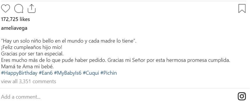 FAMILIA 2 Amelia Vega celebra el cumpleaños 6 de su primogénito Ean