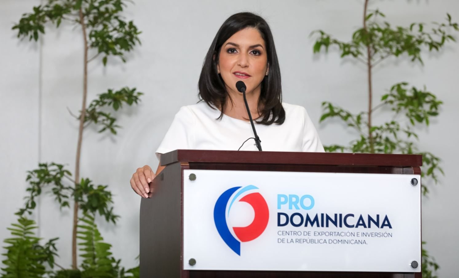 ProDominicana inicia primera ronda de negocios virtuales México-RD 2 Biviana Ribeiro Disla 01