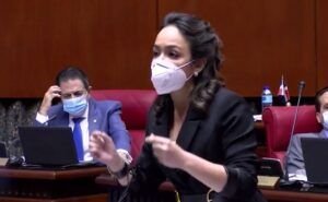 Faride Raful pide investigar a Vargas Madonado y Díaz Rúa por «peaje sombra»