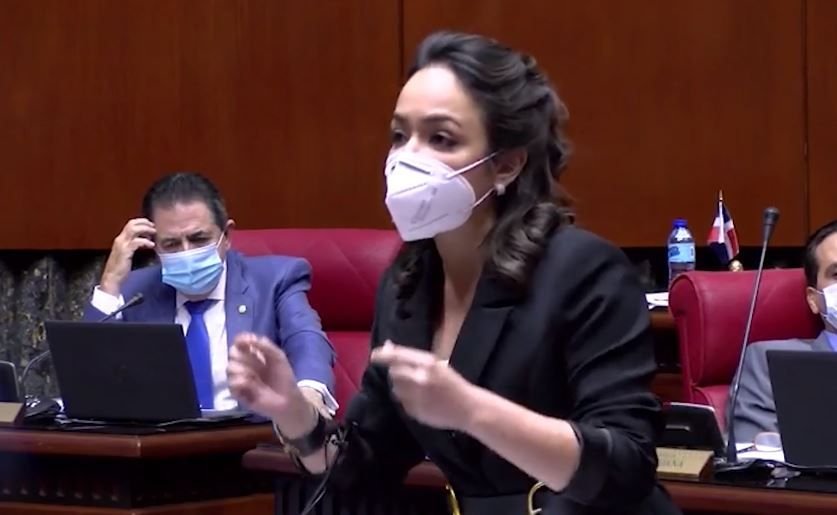 Faride Raful pide investigar a Vargas Madonado y Díaz Rúa por «peaje sombra»