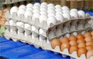 Inespre vende huevos a 150 pesos el cartón