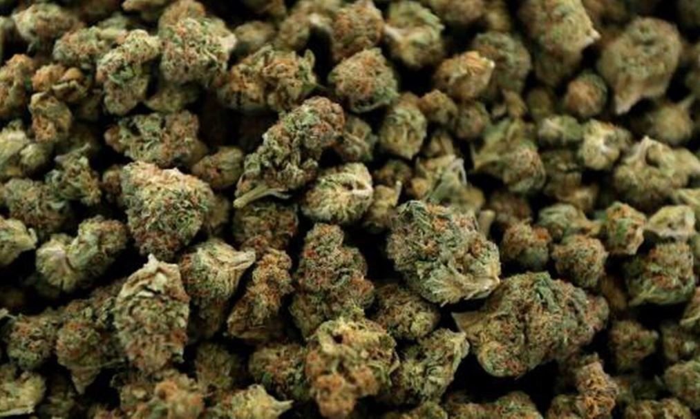 Acuerdan legalizar venta de marihuana recreativa en Nueva York