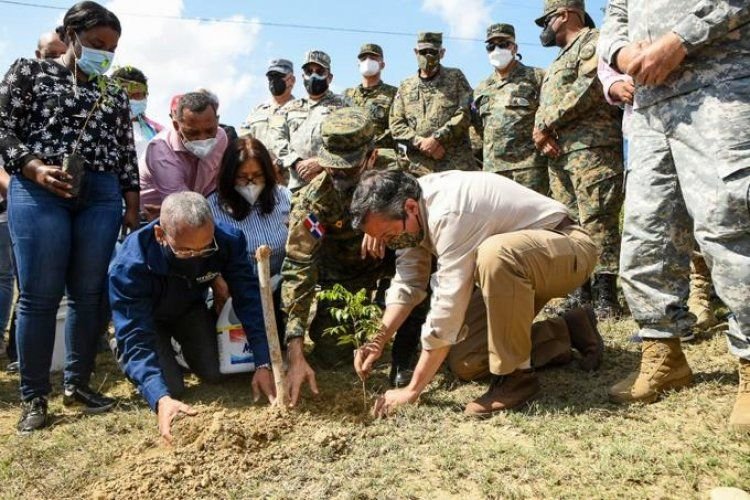 Iniciaron la siembra de 35 mil árboles donde estará la nueva verja fronteriza 2 Iniciaron la siembra de 35 mil árboles donde estará la nueva verja fronteriza