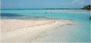 Desmienten que playas del Caribe estén invadidas de sargazo