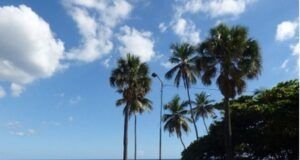 Nubes dispersas y sol para este jueves en mayoría de provincias del país