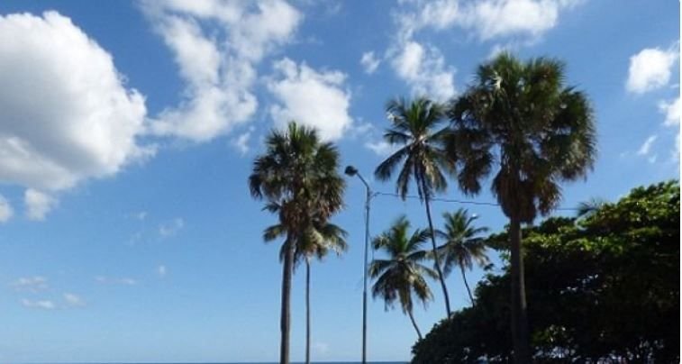 Nubes dispersas y sol para este jueves en mayoría de provincias del país
