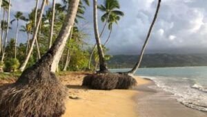 Hay creciente erosión en playa Las Terrenas, advierte exministro Turismo