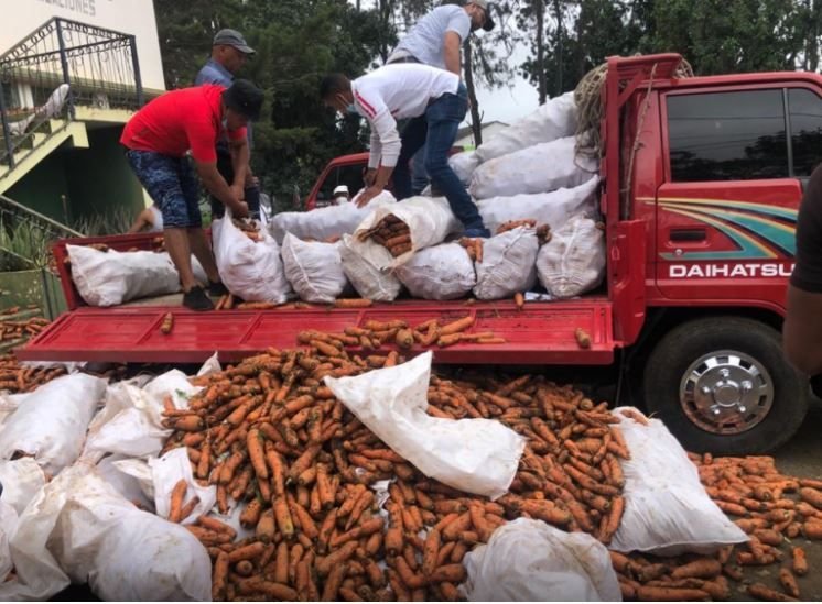 Ministerio de Agricultura descarta importación masiva de zanahoria 3 ZANAHORIA Ministerio de Agricultura descarta importación masiva de zanahoria