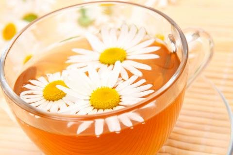 Propiedades y beneficios de la manzanilla para la salud