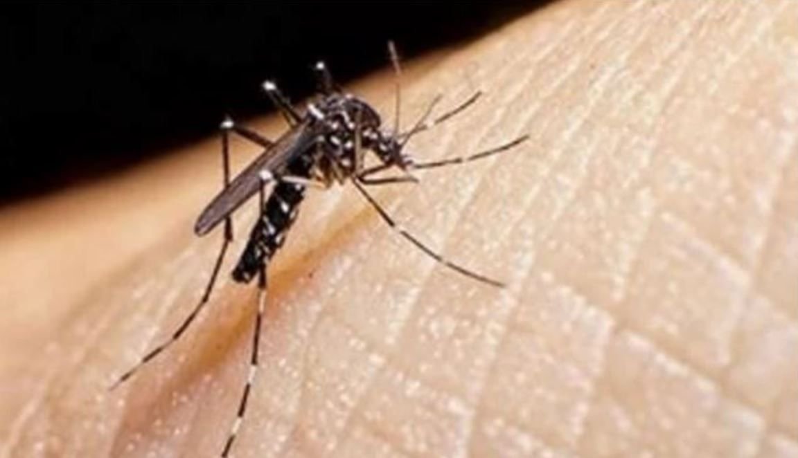 El país registra 67 casos de malaria