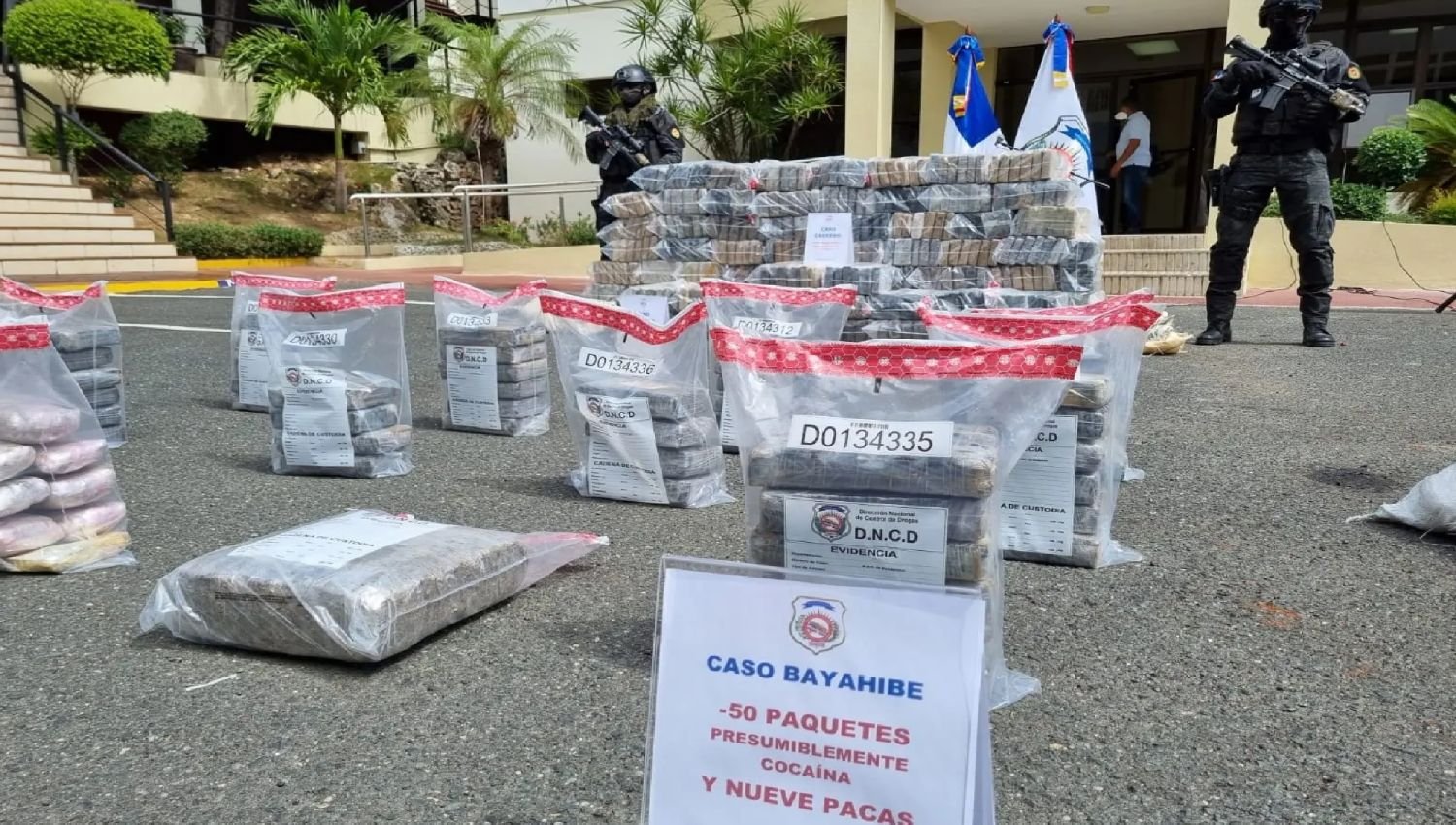 DNCD ocupa 450 paquetes de cocaína en el Puerto Multimodal Caucedo