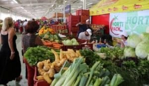 Ven deportaciones y éxodo haitianos encarecen comida  Dominicana