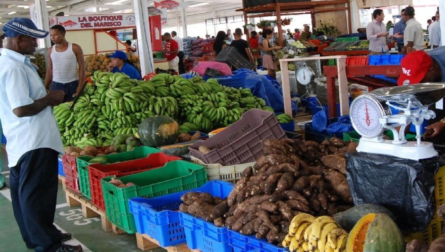 Productos canasta básica bajan precios 2 Productos canasta básica bajan precios