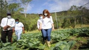 BID destaca acciones de Supérate en favor de la erradicación de la pobreza