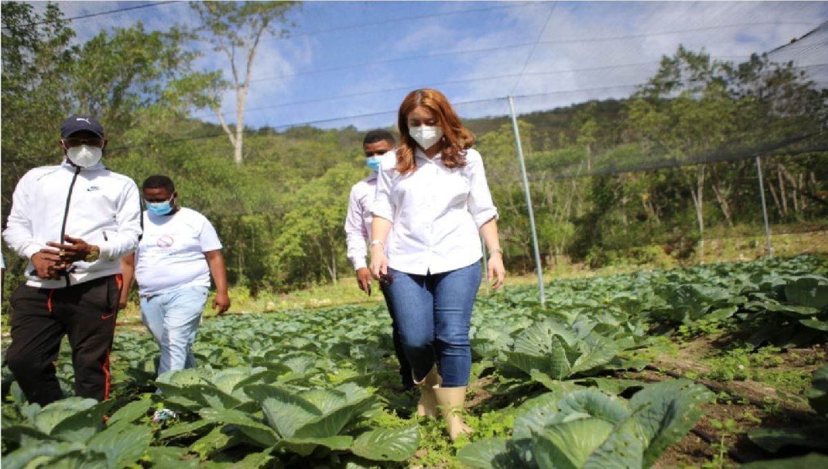 BID destaca acciones de Supérate en favor de la erradicación de la pobreza