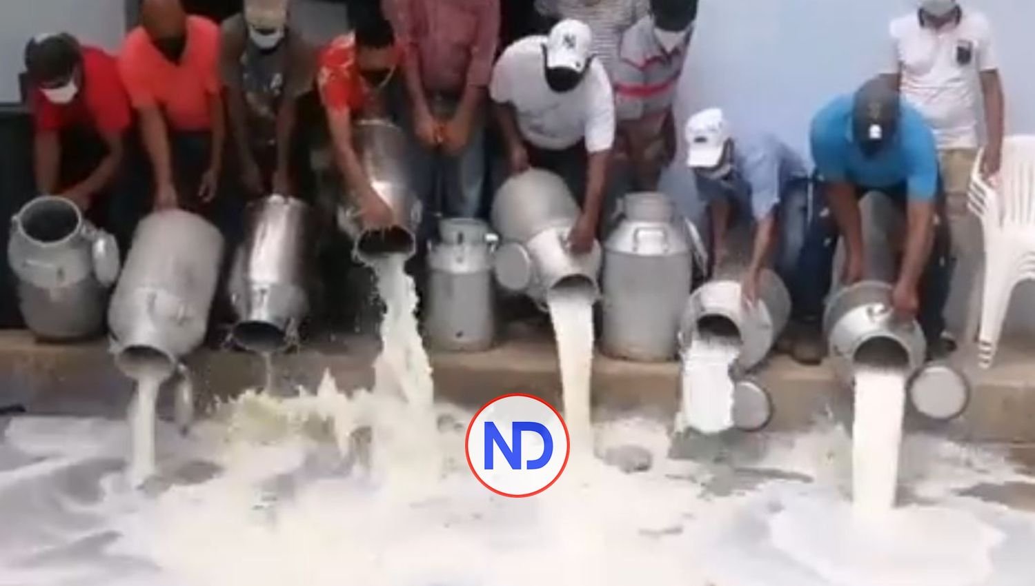 Video | Botan cientos de litros de leche en protesta por disminución del precio 2 Video | Botan cientos de litros de leche en protesta por disminución del precio