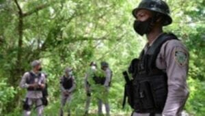 Encuentran muerta y colgada de un árbol a una niña de seis meses en Santiago