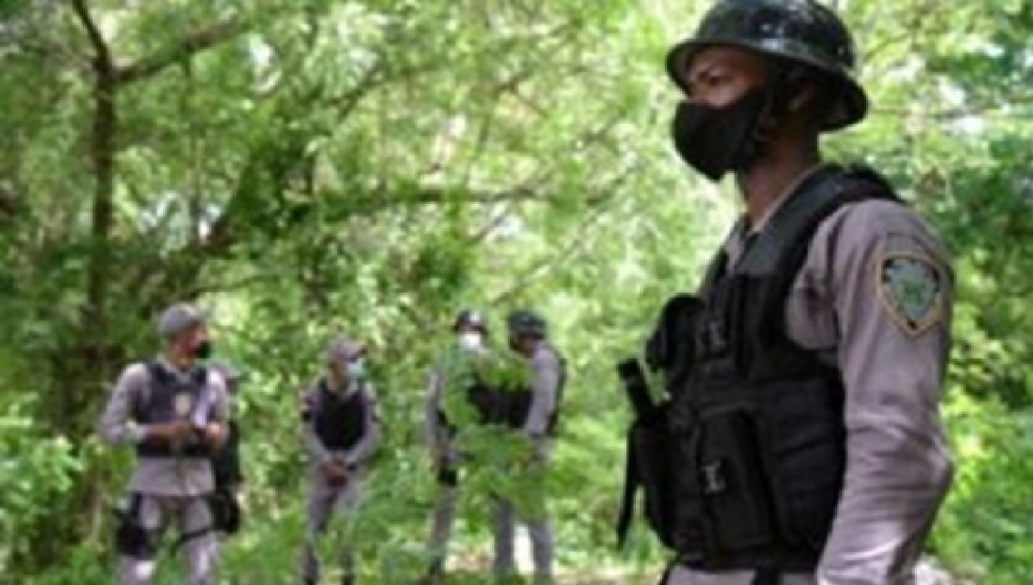 Encuentran muerta y colgada de un árbol a una niña de seis meses en Santiago