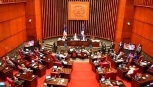 Senado aprueba otros 45 días de estado de emergencia a partir del 14 de julio