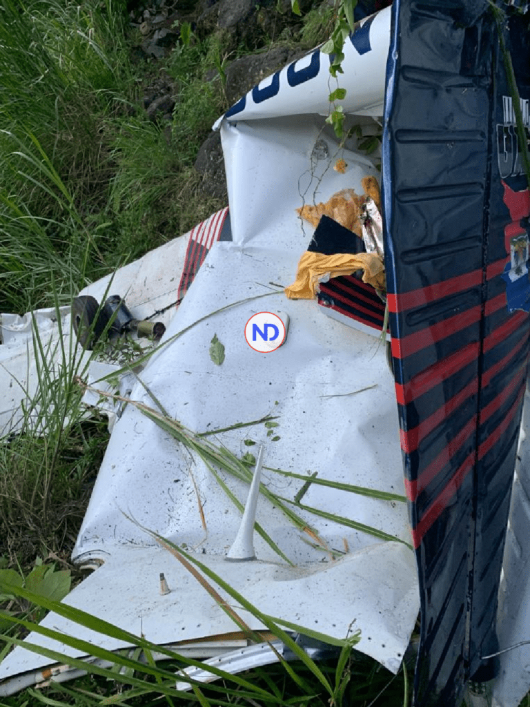 Avioneta 01 2 Confirman muerte de dos pilotos dominicanos en accidente de aeronave en Haití