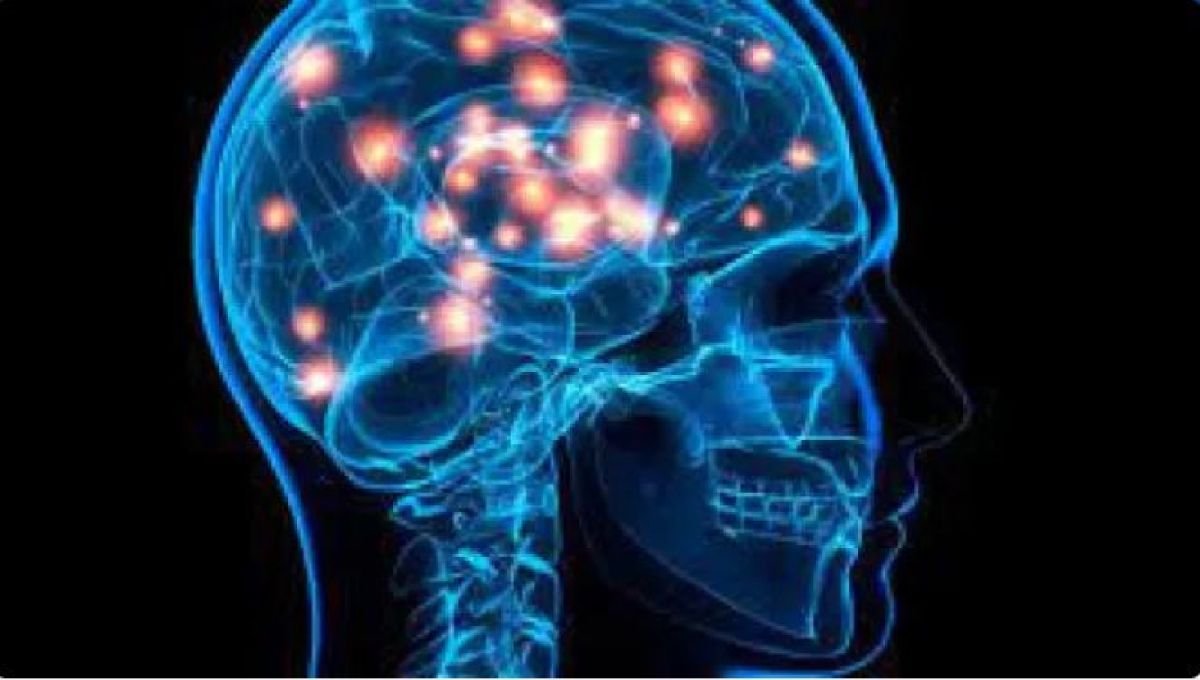 Investigan cómo el covid ingresa al cerebro y lo perjudica