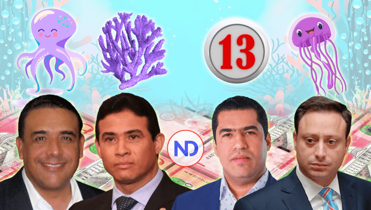 Con operaciones Pulpo, Coral, 13 y Medusa, Gobierno recuperaría más de RD$13,500 millones