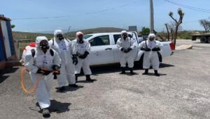 Gobierno refuerza desinfección para control de la peste porcina