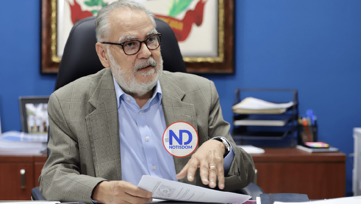 Ceara Hatton: Reforma fiscal gravará más productos, la riqueza y el patrimonio