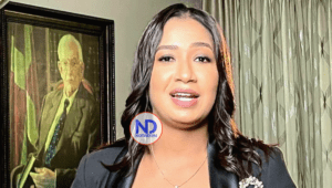 PLD afirma el país carece de una política de defensa y seguridad nacional efectiva