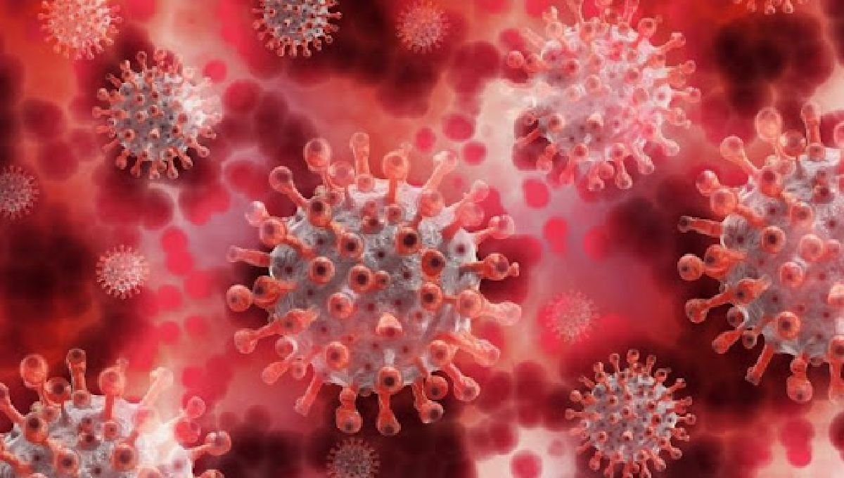 Hallan posibles nuevos antivirales contra el covid-19 y el herpes 2 Hallan posibles nuevos antivirales contra el covid-19 y el herpes