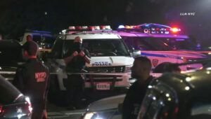 Policías matan un dominicano en avenida de Bronx