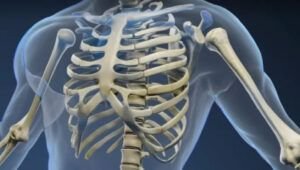 La contaminación por metales se refleja ya en nuestros huesos