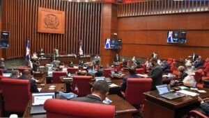 Los senadores no conocieron este martes el proyecto del Código Penal